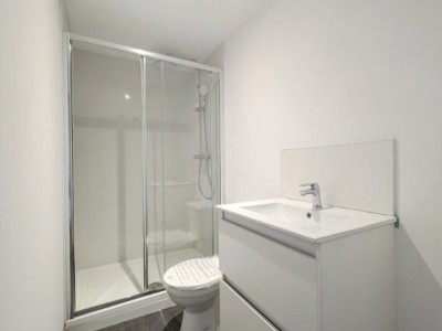 MAISON A VENDRE - LILLE - 100 m2 - 435000€